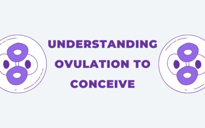 Understanding Ovulation To Conceive