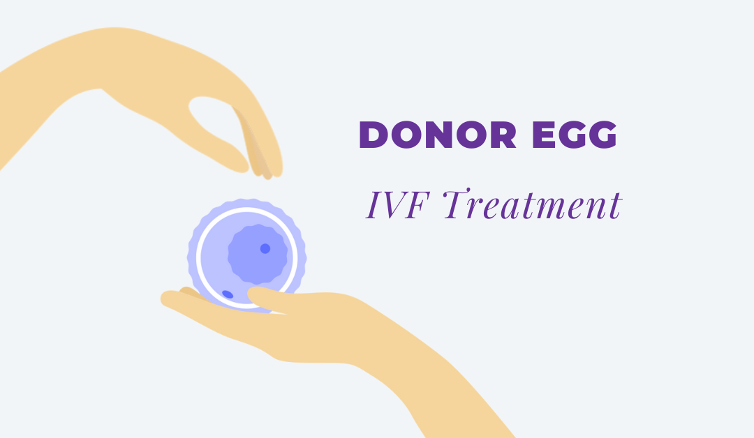 Donor Egg IVF Treatment