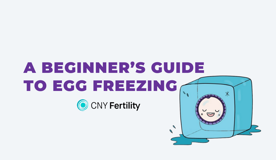 A Beginner’s Guide to Egg Freezing