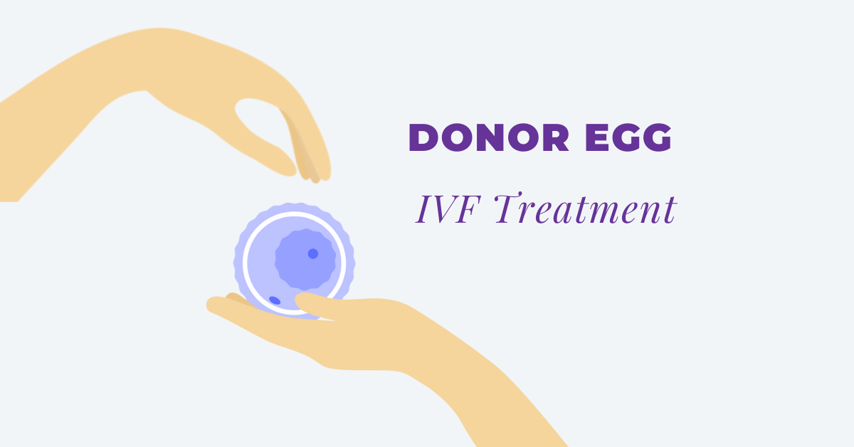 Donor Egg IVF